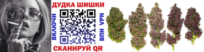 Как найти закладки Гатчина Гашиш  Бошки Шишки  Меф 