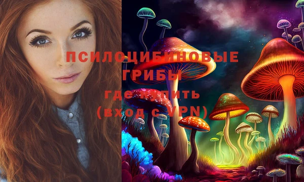 МДПВ Верхнеуральск