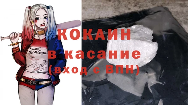 2c-b Бородино