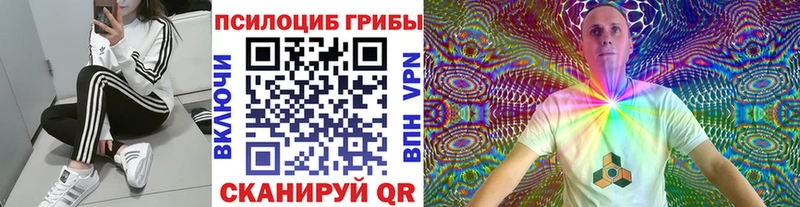 Галлюциногенные грибы ЛСД  Гатчина 