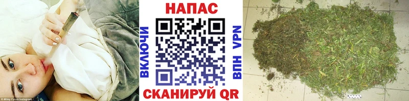 МАРИХУАНА план  где продают наркотики  omg ссылки  Гатчина 